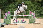 Cls 50 Snr Foxhunter portfolio
