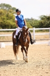 SBM_006534