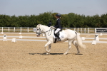 SBM_004250