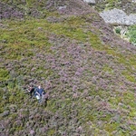 Forest of Bowland