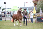 SBM_09718
