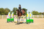 SBM_006985