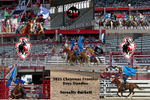 Serenity Burkett Collage 7