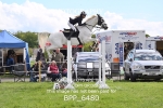 BPP_6480