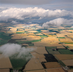 A00724FX2 The East Fife landscape in August 2017