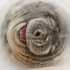 Happy Seal