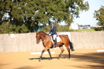 SBM_18238
