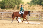 SBM_000209