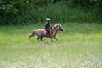 WJ7_8735