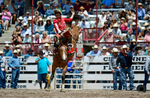3HRodeo7-26-25_CFD_oooo1885_