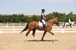 SBM_004967