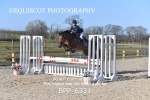 BPP_6331