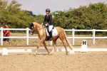 SBM_008775