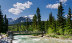 Canada Alaska Card 2-23