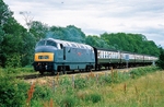 11th June 2011