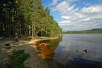 Loch Garten, Highland