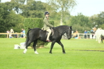 SBM_44865