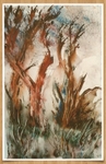 SM37  Trees - quick sketch