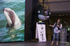 Dr Barbara Maas (Maui dolphins) at Whalefest REF CSBM10