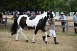 WJ6_8125