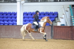 SBM_001496