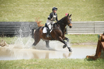 BVHT 140517  IXC -831