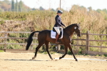 SBM_009972