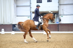 SBM_008962