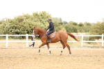 SBM_023835
