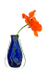 POPPY AND BLUE VASE #2