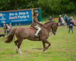 Dunblane show-629