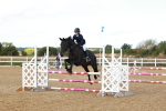 SBM_000656