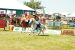 SBM_16922