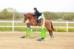 SBM_003983