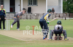 Cricket_Wanderers vs Griffins-14