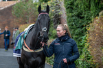 161125-Race 6-Eclat De Marvel-1853