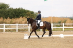 SBM_000291