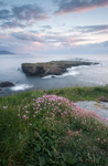Niarbyl Thrift