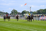 150526-Race 5-Rahiebb-8089