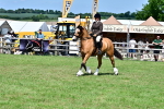 SBM_08001