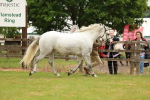 SBM_04135
