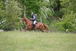 WJ6_1600