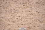 230531A-132800-00437