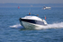 190825 SKYFALL - HUNTON 1Y3A1551