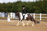 SBM_009331