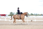 SBM_03202