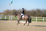 SBM_004354