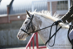 BVRC SJ 170319 225