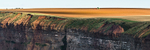 Tractor on the cliffs at Saltburn-by-Sea