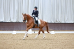 SBM_001386